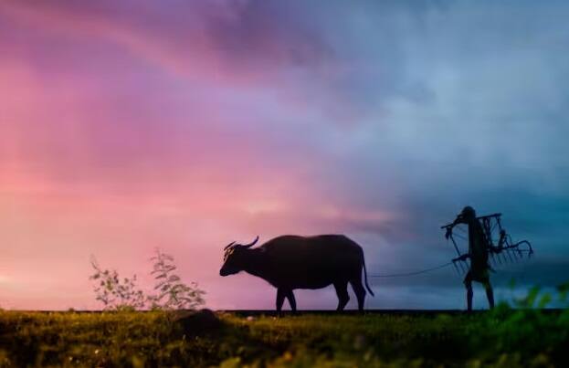 આ યોજનાના પૈસા એવા ખેડૂતોના ખાતામાં નહીં આવે જેમના બેન્ક ખાતા, નામ કે દસ્તાવેજોમાં કોઈ પ્રકારની વિસંગતતા હશે.