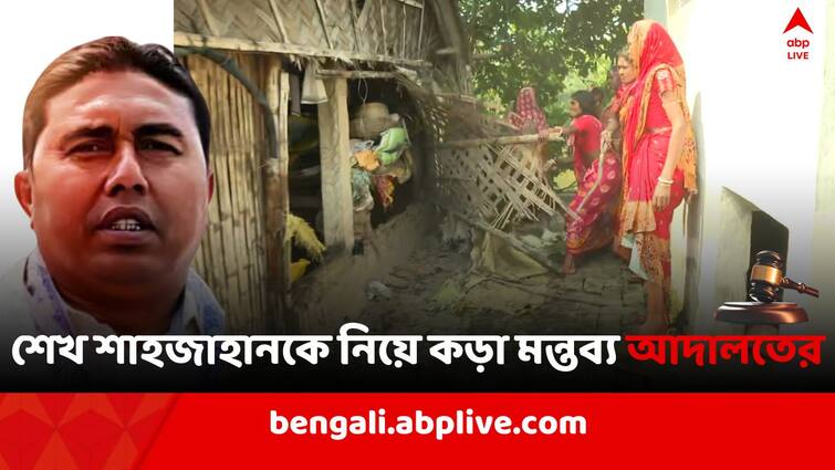 Sandeshkhali Violence, Court Justice gives reaction on Sheikh  Shahjahan s Bail Case Court On Shahjahan: 'শেখ শাহজাহানের কোনওদিনই আইনের উপর সম্মান ছিল না', কড়া মন্তব্য আদালতের