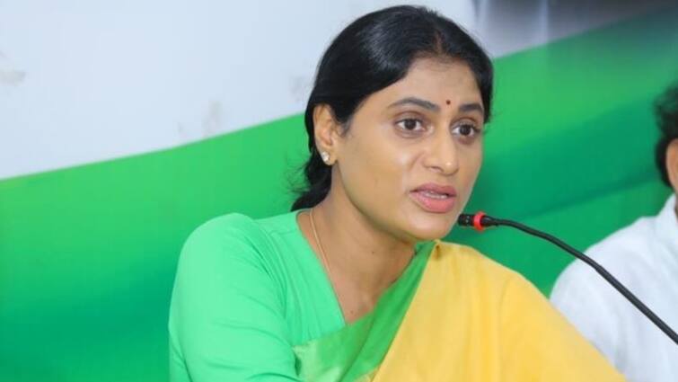 Congress Exercise on Candidate for ap assembly elections 2024 Sharmila Interview With aspirants Today and Tommorow Sharmila News: అభ్యర్థుల ఎంపికపై కాంగ్రెస్ మథనం- ఆశావాహులకు షర్మిల ఇంటర్వ్యూ