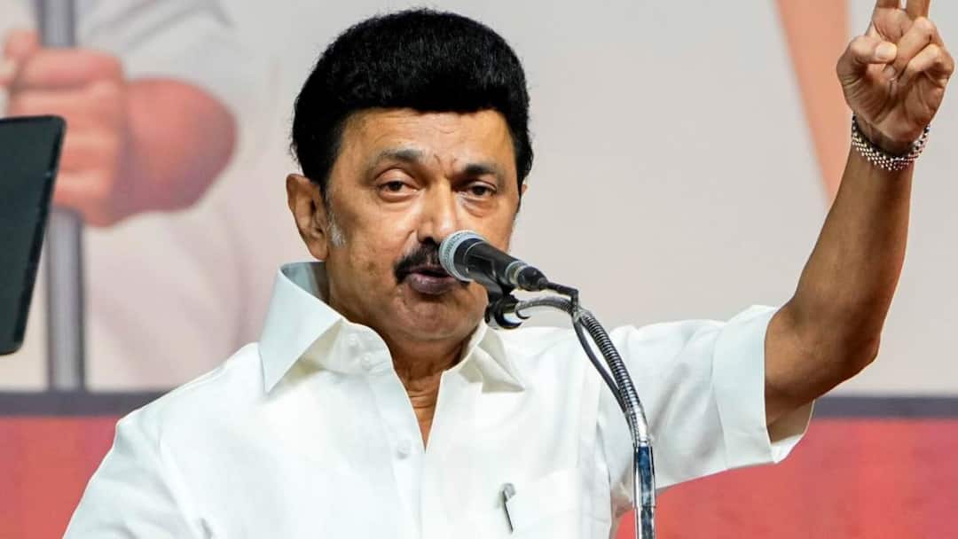 Coimbatore Cricket Stadium: தேர்தல் அறிக்கையில் இன்னொரு வாக்குறுதி.. கோவையில் கிரிக்கெட் ஸ்டேடியம் - முதலமைச்சர் ஸ்டாலின்