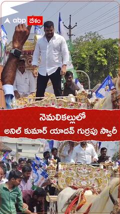 నెమలికల్లులో అనిల్ కుమార్ యాదవ్ గుర్రపు స్వారీ.!