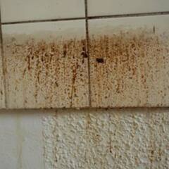 oil Stain: ਕੀ ਤੁਸੀਂ ਵੀ ਹੋ ਰਸੋਈ 'ਚ ਤੇਲ ਦੇ ਦਾਗ-ਧੱਬਿਆਂ ਤੋਂ ਪ੍ਰੇਸ਼ਾਨ ਤਾਂ ਜਾਣੋ ਇਸਦੇ ਹੱਲ