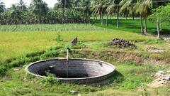 क्यों चौकोर या तिकोने नहीं होते कुएं? क्या है गोल होने की वजह