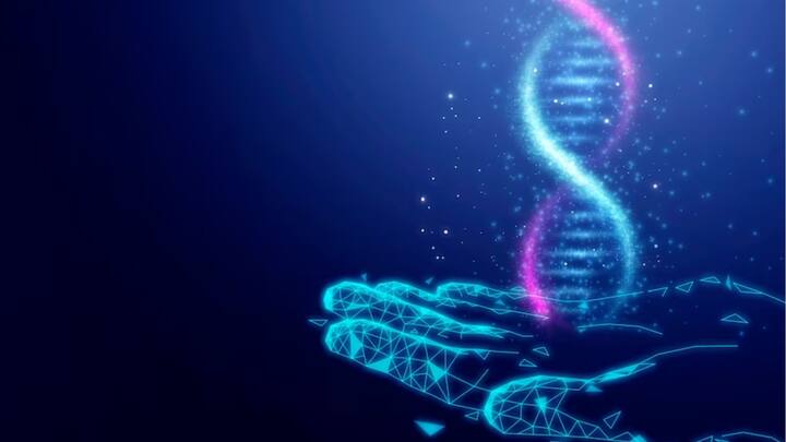 বেশ কিছু ক্ষেত্রে হুবহু DNA-র মতো দেখতে ALU Elements-যা অল্প পরিমাণ RNA তৈরি করতে পারে, নিজেকে DNA-তে রূপান্তরিত করে নেয়। তার পর এলোমেলো ভাবে জিনোমে সন্নিবেশ ঘটে এদের। এই স্থানান্তরযোগ্য উপাদান, যাকে জাম্পিং জিনও বলা হয়, তা জিনের কার্যকারিতায় বিঘ্ন ঘটাতে পারে। এই ধরনের জাম্পিং জিন শুধুমাত্র আদি প্রজাতির শরীরেই থাকে এবং সেই জাম্পিং জিনই কোটি কোটি বছর ধরে জিনের বৈচিত্র পরিচালনা করে চলেছে। ছবি: ফ্রিপিক।