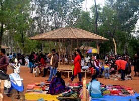 Santiniketan Travel: শান্তিনিকেতনে দোল কাটাবেন ? কীভাবে কোথায় থাকবেন, ঘুরবেন ? রইল সম্পূর্ণ গাইড