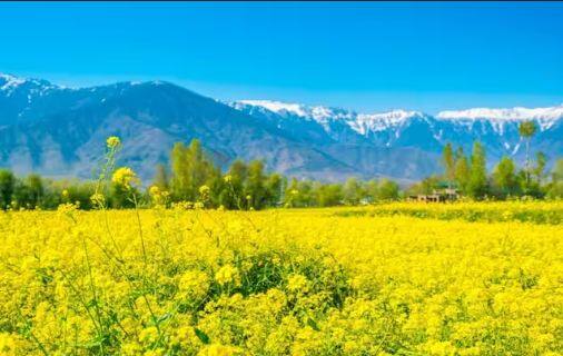 IRCTC Kashmir Tour: ਕਸ਼ਮੀਰ ਦਾ ਇਹ ਟੂਰ ਪੈਕੇਜ ਮਹਾਰਾਸ਼ਟਰ ਦੀ ਰਾਜਧਾਨੀ ਮੁੰਬਈ ਤੋਂ ਸ਼ੁਰੂ ਹੋਵੇਗਾ। ਇਸ ਪੈਕੇਜ ਵਿੱਚ ਤੁਹਾਨੂੰ ਮੁੰਬਈ ਤੋਂ ਸ਼੍ਰੀਨਗਰ ਤੱਕ ਅਤੇ ਮੁੰਬਈ ਤੋਂ ਦੋਵੇਂ ਉਡਾਣਾਂ ਮਿਲਣਗੀਆਂ।