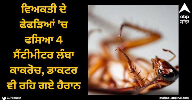 man complains about breathing difficulty doctors remove 4 cm long cockroach from man lungs Viral News: ਸਾਹ ਲੈਣ 'ਚ ਆ ਰਹੀ ਸੀ ਦਿੱਕਤ, ਫੇਫੜਿਆਂ 'ਚ ਫਸਿਆ 4 ਸੈਂਟੀਮੀਟਰ ਲੰਬਾ ਕਾਕਰੋਚ, ਜਾਂਚ ਤੋਂ ਬਾਅਦ ਡਾਕਟਰ ਵੀ ਰਹਿ ਗਏ ਹੈਰਾਨ