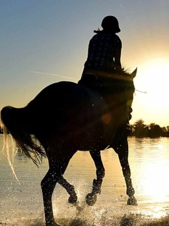 किसे मारने के लिए अकबर रात को ही नदी में उतर गया