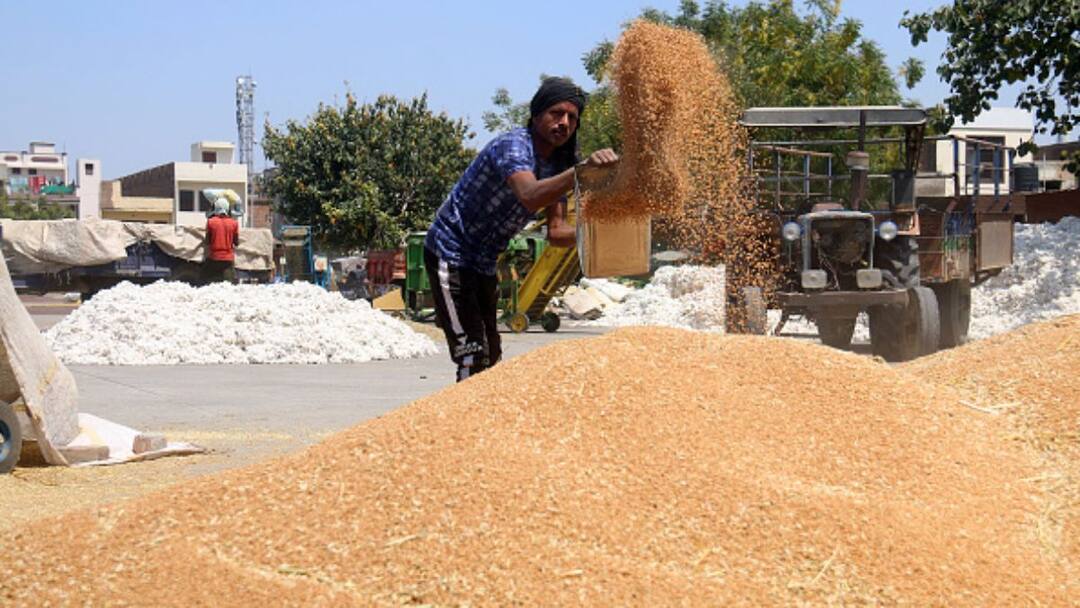 Wheat: ਪੰਜਾਬ 'ਚ ਪਹਿਲੀ ਅਪਰੈਲ ਤੋਂ ਕਣਕ ਦੀ ਖਰੀਦ ਸ਼ੁਰੂ, ਸੁਚਾਰੂ ਪ੍ਰਬੰਧ ਤੇ ਤੁਰੰਤ ਭੁਗਤਾਨ ਯਕੀਨੀ ਬਣਾਉਣ ਦੇ ਨਿਰਦੇਸ਼ Instructions to start procurement of wheat from 1st April in Punjab, ensure smooth arrangement and prompt payment Wheat: ਪੰਜਾਬ 'ਚ ਪਹਿਲੀ ਅਪਰੈਲ ਤੋਂ ਕਣਕ ਦੀ ਖਰੀਦ ਸ਼ੁਰੂ, ਸੁਚਾਰੂ ਪ੍ਰਬੰਧ ਤੇ ਤੁਰੰਤ ਭੁਗਤਾਨ ਯਕੀਨੀ ਬਣਾਉਣ ਦੇ ਨਿਰਦੇਸ਼