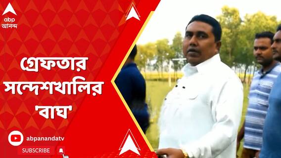 গ্রেফতার সন্দেশখালির 'বাঘ'? কোথায় লুকিয়ে ছিলেন শেখ শাহজাহান?