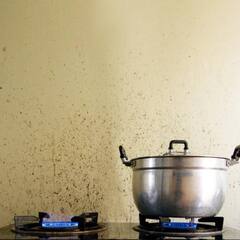 oil Stain: ਕੀ ਤੁਸੀਂ ਵੀ ਹੋ ਰਸੋਈ 'ਚ ਤੇਲ ਦੇ ਦਾਗ-ਧੱਬਿਆਂ ਤੋਂ ਪ੍ਰੇਸ਼ਾਨ ਤਾਂ ਜਾਣੋ ਇਸਦੇ ਹੱਲ