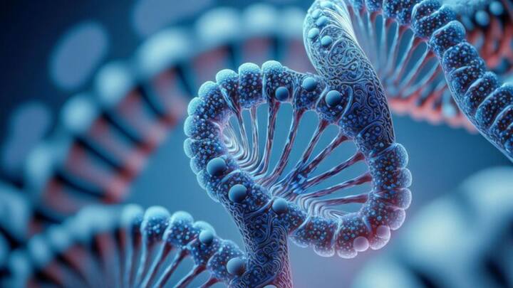 গবেষণাপত্রে বলা হয়েছে, কোটি কোটি বছর ধরে DNA-তে যে পরিবর্তন ঘটে, তার জেরেই পশুর শরীরে বিবর্তন ঘটে। কিছু ক্ষেত্রে পাকানো মইয়ের মতো দেখতে সূক্ষ্ম অণু বা মলিকিউলে সামান্য পরিবর্তনের জেরেও বিবর্তন ঘটে যায়। তবে অনেক ক্ষেত্রেই এই প্রক্রিয়া জটিল। ছবি: ফ্রিপিক।