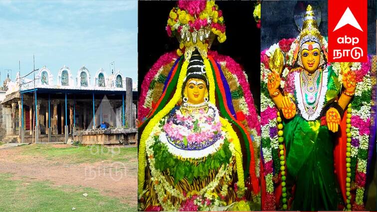 Adavalleeswarar Temple Villupuram Munnur Guru Peyarchi Sthalam Marriage Problems Solution TNN Adavalleeswarar Temple: மேற்கு திசை நோக்கி அமைந்திருக்கும் தட்சிணாமூர்த்தி; நெய் தீபம் ஏற்றி வழிபட்டால் விரைவில் திருமணம் நடக்கும்