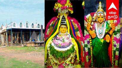 Adavalleeswarar Temple Villupuram Munnur Guru Peyarchi Sthalam Marriage Problems Solution TNN Adavalleeswarar Temple: மேற்கு திசை நோக்கி அமைந்திருக்கும் தட்சிணாமூர்த்தி நெய் தீபம் ஏற்றி வழிபட்டால் விரைவில் திருமணம் நடக்கும்