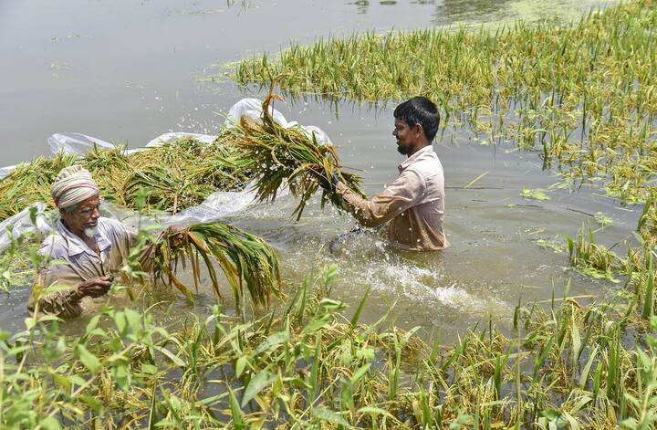 ऐसे तमाम किसानों के लिए सरकार की तरफ से कुछ हेल्पलाइन नंबर जारी किए गए हैं, जिन पर कॉल करके वो अपनी समस्या का समाधान कर सकते हैं.