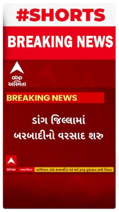 Dang News । ડાંગમાં પડયો બરબાદીનો વરસાદ
