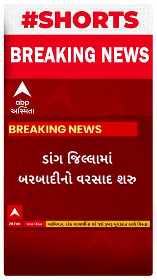 Dang News । ડાંગમાં પડયો બરબાદીનો વરસાદ
