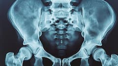 Science News: অন্য প্রাণীর মতে কেন লেজ নেই মানুষের? এতদিনে মিলল উত্তর