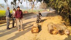 गोरखपुर में पीछा करने पर वन तस्करों ने किया जानलेवा हमला, ये हथियार बरामद