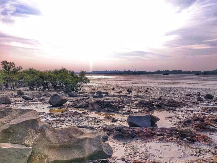 Balachadi Beach: Balachadi Beach offers a peaceful getaway from city life. Its calm waters and golden sands are perfect for strolling, picnicking, and enjoying beautiful sunsets. It is popular for relaxed walks, picnics, with opportunities for swimming and beach volleyball as well. (Image source: Instagram/ kajaldas_photography )