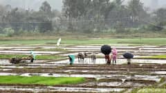 Weather Update: વેસ્ટર્ન ડિસ્ટર્બન્સના કારણે રાજ્યના આ જિલ્લામાં પડશે કમોસમી વરસાદ, હવામાન વિભાગની આગાહી