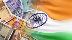 Indian Economy Has Done Well Despite Several External Shocks, Says RBI's MPC Member