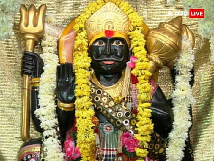 शनि के उदय होने के बाद हर दिन रात के समय पीपल के पेड़ के पास सरसों के तेल का दीपक जरूर जलाएं. इससे शनि देव जल्द प्रसन्न होते हैं और शनि के अशुभ प्रभावों से मुक्ति मिलती है. पीपल के पेड़ की पूजा करने और इस पर जल चढ़ाने से भी शनि देव प्रसन्न होते हैं.