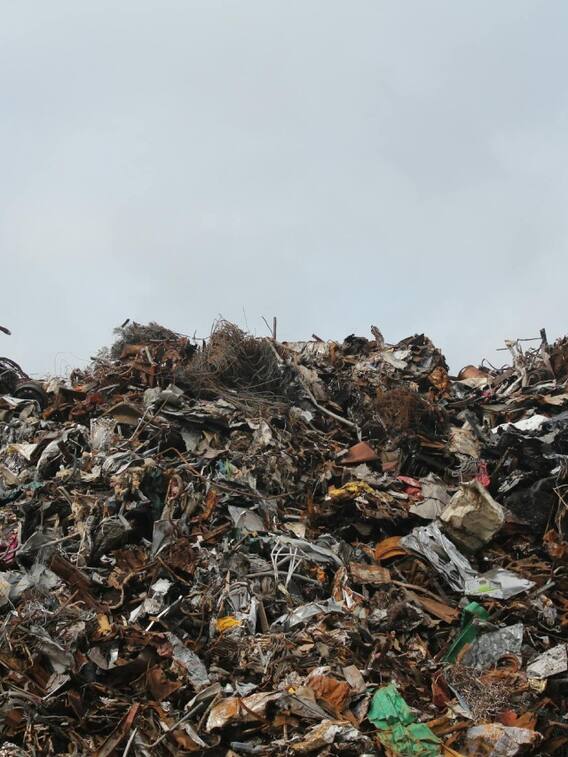 दिल्ली में इस जगह है 'कूड़ों का पहाड़'