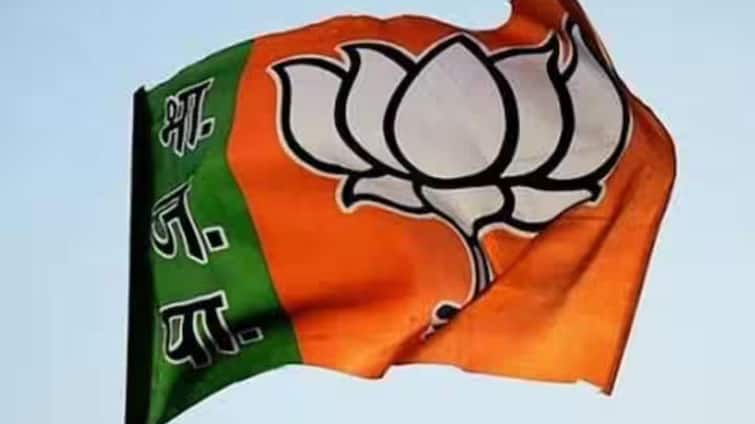 Lok Sabha  Elections 2024 Gorakhpur Seat BJP Candidate Malini Awasthi Ravi Kishan Political Expert ann Lok Sabha  Election 2024: गोरखपुर से रवि किशन या मालिनी अवस्थी किसे मिलेगा टिकट, जानें क्या कहते हैं पॉलिटिकल एक्सपर्ट