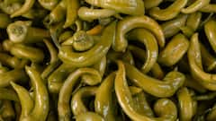 Green Chilli: घर पर कैसे उगाएं हरी मिर्च, बचेंगे ढेरों रुपये