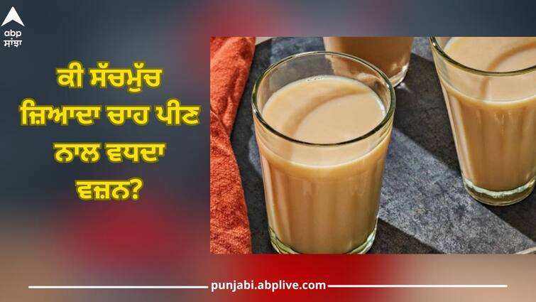 Does drinking tea increase weight? know what say health experts Tea: ਕੀ ਸੱਚਮੁੱਚ ਜ਼ਿਆਦਾ ਚਾਹ ਪੀਣ ਨਾਲ ਵਧਦਾ ਵਜ਼ਨ? ਜਾਣੋ ਇਸ ਬਾਰੇ 'ਚ ਕੀ ਕਹਿੰਦੇ ਨੇ ਸਿਹਤ ਮਾਹਿਰ