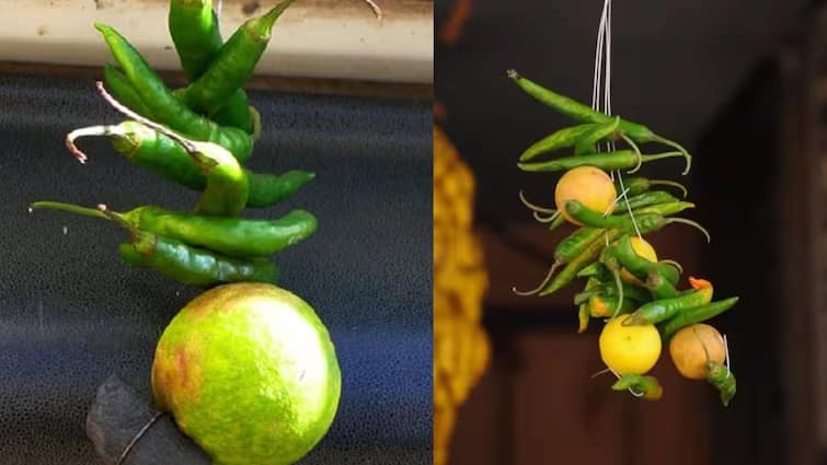 Vastu Tips Limbu Mirchi Totka why lemon chili tied Outside Homes vegetable vendors stalls shops Marathi News Limbu Mirchi Totka : दर शनिवारी दाराबाहेर लिंबू मिरची का लावली जाते, श्रद्धा म्हणायचं की अंधश्रद्धा?