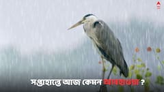Weather Update: দুর্যোগের ইঙ্গিত কি আজ থেকেই ? জানাল আবহাওয়া দফতর