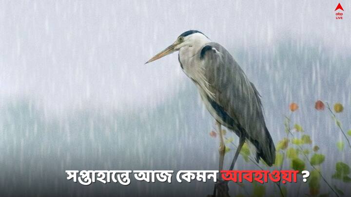 Bengal Weather Update: সপ্তাহান্তে কেমন থাকবে আবহাওয়া গোটা রাজ্যে ? জানাল হাওয়া অফিস ..