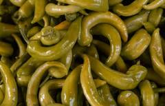 Green Chilli: ਘਰ ‘ਚ ਇਦਾਂ ਲਾਓ ਹਰੀ ਮਿਰਚ, ਹੋਵੇਗੀ ਚੰਗੀ ਕਮਾਈ