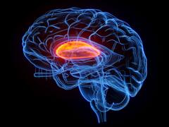 7 Benefits Of Exercise On Mental Health