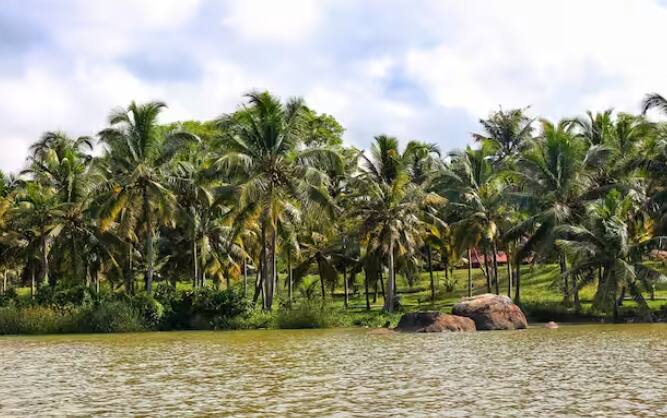 ਕੇਰਲ ਦਾ ਪੂਵਰ ਟਾਪੂ ਬਹੁਤ ਖੂਬਸੂਰਤ ਹੈ। ਇੱਥੇ ਰਿਹਾਇਸ਼ ਲਈ ਫਲੋਟਿੰਗ ਕਾਟੇਜ ਹਨ। ਤੁਸੀਂ ਮੋਟੇ ਹਾਰਬਰ ਵਿੱਚ ਕਿਸ਼ਤੀ ਦੀ ਯਾਤਰਾ ਦਾ ਆਨੰਦ ਲੈ ਸਕਦੇ ਹੋ। ਇੱਥੇ ਕਈ ਤਰ੍ਹਾਂ ਦੇ ਕਰੂਜ਼ ਵੀ ਉਪਲਬਧ ਹਨ।