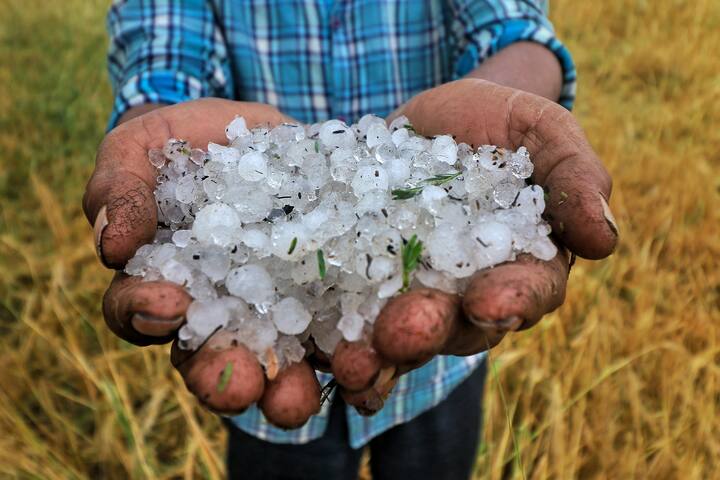 आईएमडी के अनुसार जम्मू कश्मीर, लद्दाख, गिलगित, बालिस्तान, उत्तराखंड और हिमाचल प्रदेश में 2 मार्च को भारी बारिश होने की संभावना है. पश्चिमी उत्तर प्रदेश, उत्तरी मध्य प्रदेश, पूर्वी राजस्थान के अलग-अलग स्थानों पर 2 मार्च को ओलावृष्टि की संभावना है.