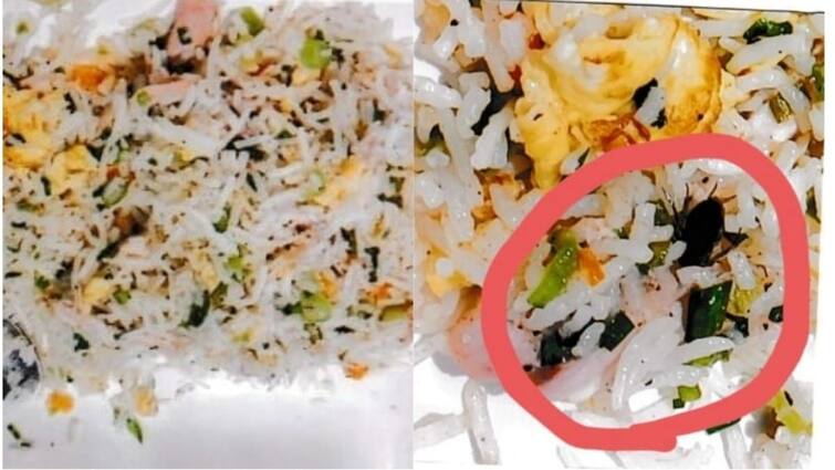 Tirunelveli consumer court fines hotel for substandard food - TNN சிக்கன் ரைஸில் கரப்பான்பூச்சி,  சிக்கன் ரோஸ்டில் கோழி முடி! உணவகங்களில் அலட்சியம்..! நெல்லை நீதிமன்றம் அதிரடி தீர்ப்பு..!