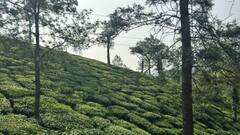 स्वर्ग से कम नहीं है भारत का ये राज्य, यहां जाते ही आपकी सब टेंशन हो जाएगी खत्म