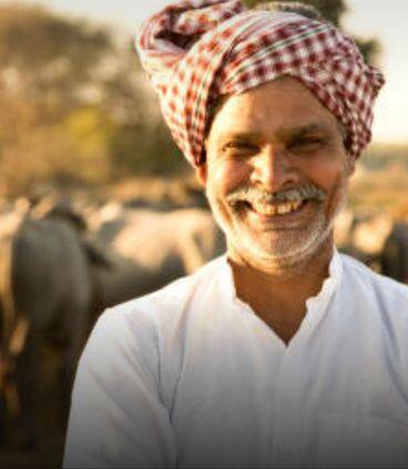 ਸਭ ਤੋਂ ਵੱਧ ਦੁੱਧ ਦਿੰਦੀਆਂ ਹਨ ਮੱਝਾਂ ਦੀਆਂ ਇਹ ਚੋਟੀ ਦੀਆਂ 10 ਕਿਸਮਾਂ