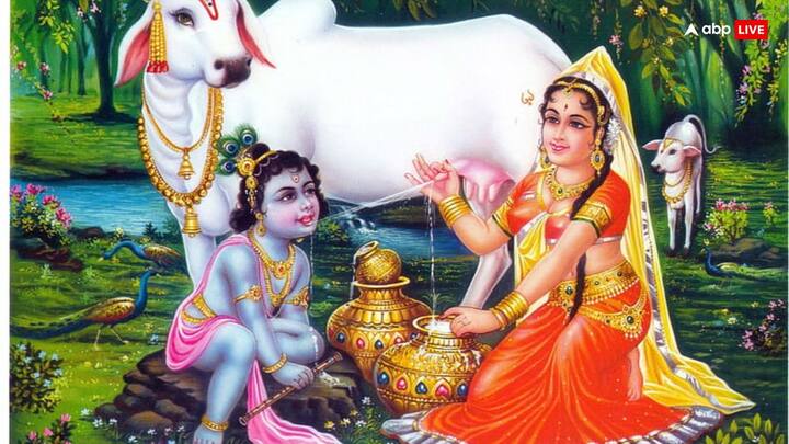 एक बार बचपन में कृष्ण ने मां यशोदा से पूछा कि राधा का रंग इतना गोरा और मेरा रंग इतना काला क्यों है. इस पर मां यशोदा ने डांटने की जगह उन्हें हंस कर जवाब दे दिया.