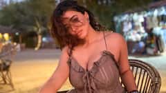 Ketika Sharma Viral Photos: బీచ్‌లో కేతిక శర్మ అందాల రచ్చ - మరి ఇంతలా హాట్‌ షో చేయాలా!