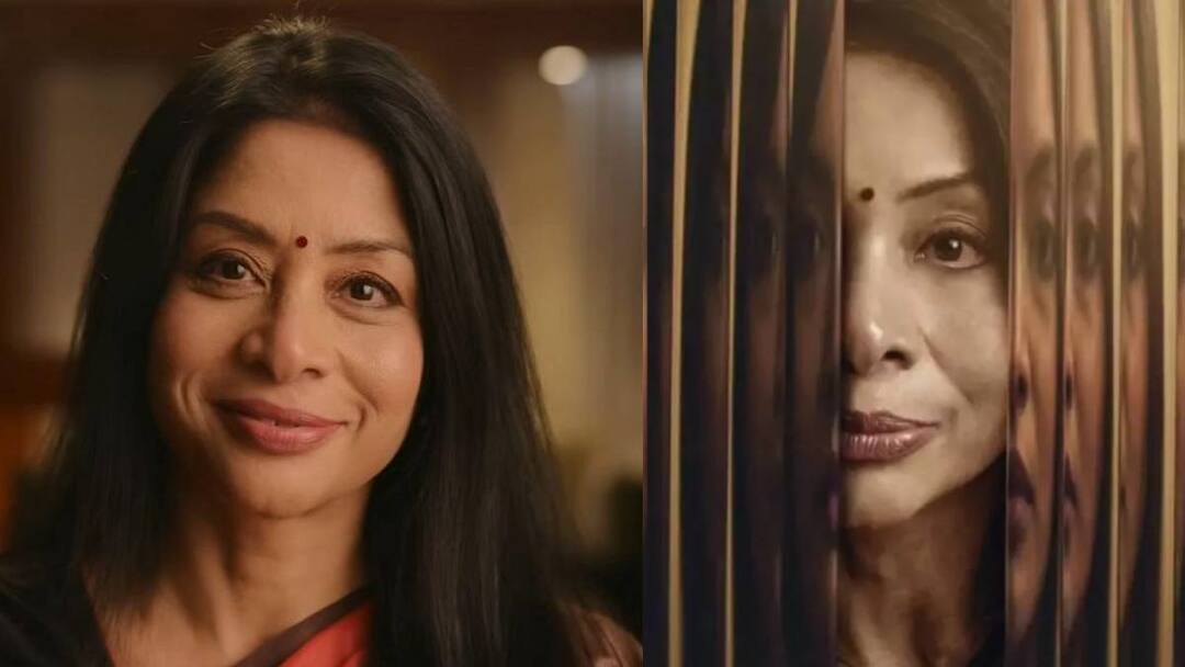 Indrani Mukerjea: ஷீனா போரா கொலை வழக்கு .. இந்திராணி முகர்ஜியின் நெட்பிளிக்ஸ் ஆவணப்படம் வைரல்!