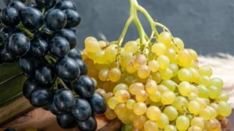 Health Benefits Of Grapes what are benefits of eating grapes angoor draksha khanyache fayde by nutritionist Healthy Diet Grapes Benefits For Health : आरोग्यदायी गुणधर्मांचा खजिना द्राक्षं; जास्त विचार करू नका बिनधास्त खा!