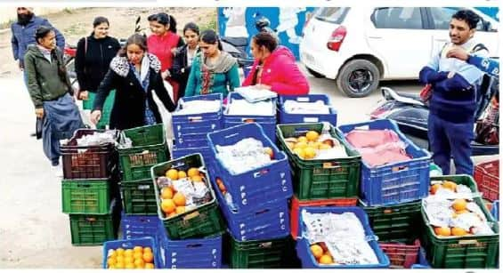 Kinnows for Mid Day Meal were dropped off 20 kilometers away from the school Mid Day Meal: ਮਿਡ ਡੇ ਮੀਲ ਲਈ ਆਏ ਕਿੰਨੂ, ਸਕੂਲ ਤੋਂ 20 ਕਿਲੋਮੀਟਰ ਦੂਰ ਹੀ ਉਤਾਰ ਦਿੱਤੇ, ਮਾਸਟਰਾਂ ਨੂੰ ਪੈ ਗਈਆਂ ਭਾਜੜਾਂ