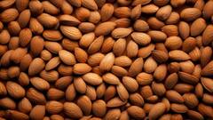 कई गुणों से भरपूर है इस मेवे का पानी, रोज पीने से होते हैं अनेकों फायदे