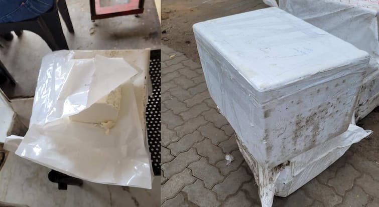 Nagpur News A major action by the Food and Drug Department seized 442 kg cheese analogue substance similar to paneer found in bus maharashtra marathi news Nagpur News : अन्न व औषध विभागाची मोठी कारवाई; 442 किलो चीज आणि पनीरसदृश पदार्थ जप्त  