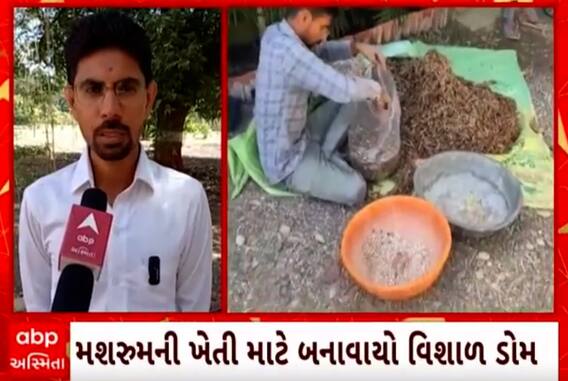 Junagadh | એમ ફીલ થયેલા યુવકે કરી મશરૂમની ખેતી અને પછી... જુઓ વીડિયો