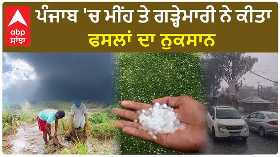 Mukatsar Sahib rain | ਪੰਜਾਬ 'ਚ ਮੀਂਹ ਤੇ ਗੜ੍ਹੇਮਾਰੀ ਨੇ ਕੀਤਾ ਫਸਲਾਂ ਦਾ ਨੁਕਸਾਨ